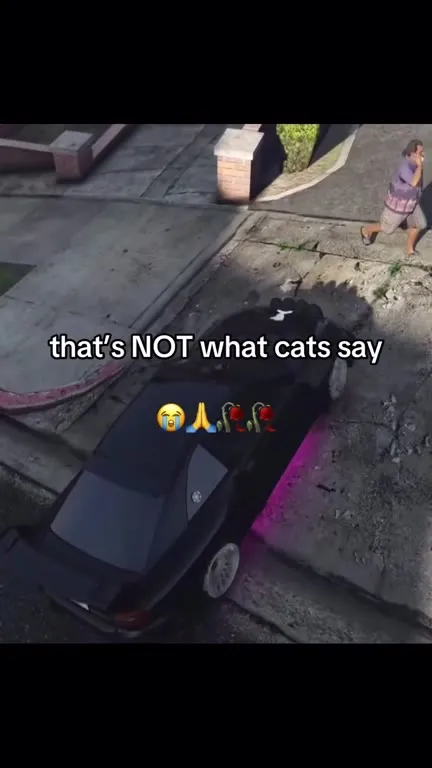 That's NOT What Cats Say