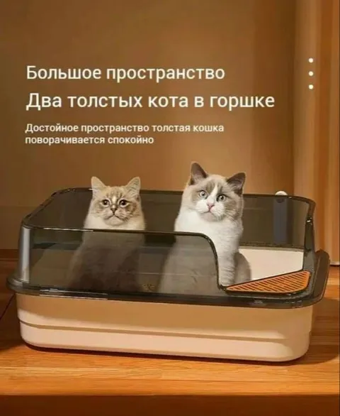 Два толстых кота в горшке