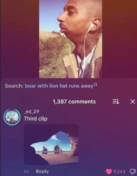 Boar With Lion Hat Runs Away