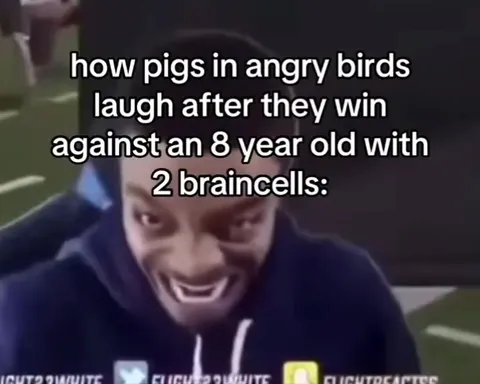 Angry Birds Pigs Laughing