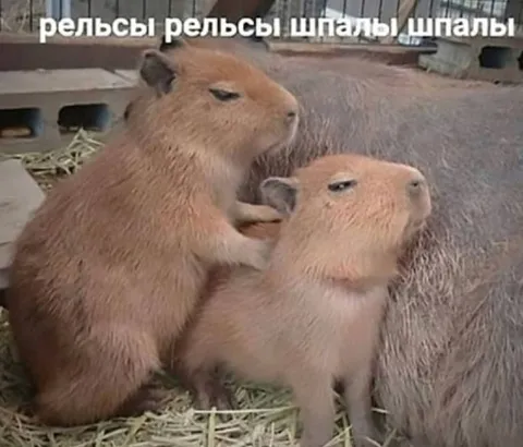 Рельсы рельсы шпалы шпалы