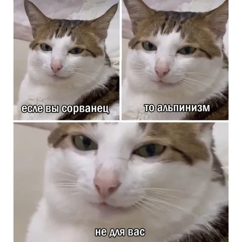 Альпинизм не для сорванцов