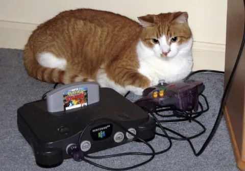 Cat Guards the Nintendo 64