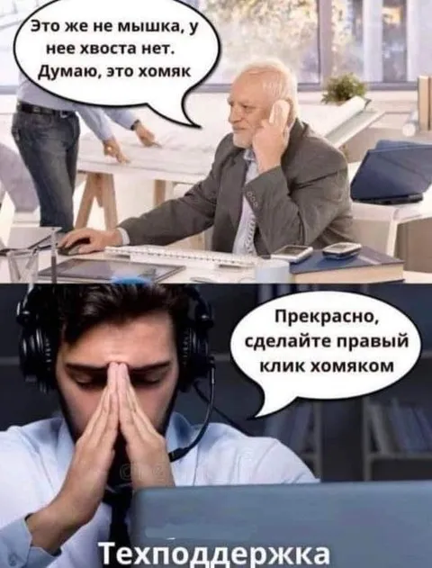 Техподдержка и хомяк-мышка