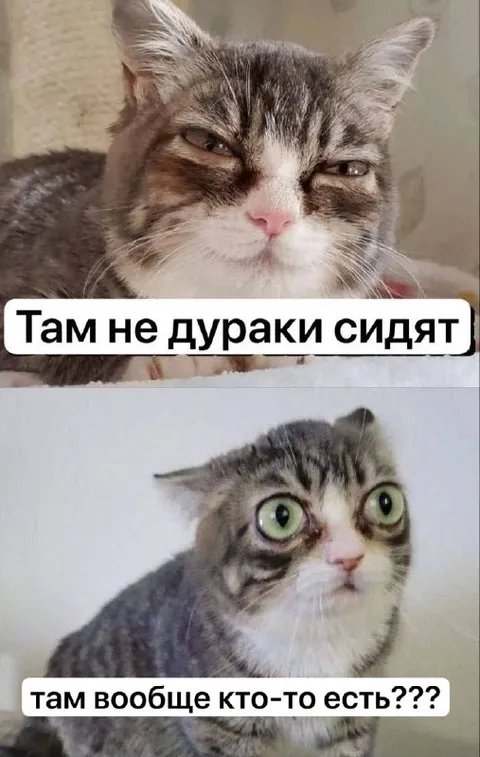 Там вообще кто-то есть