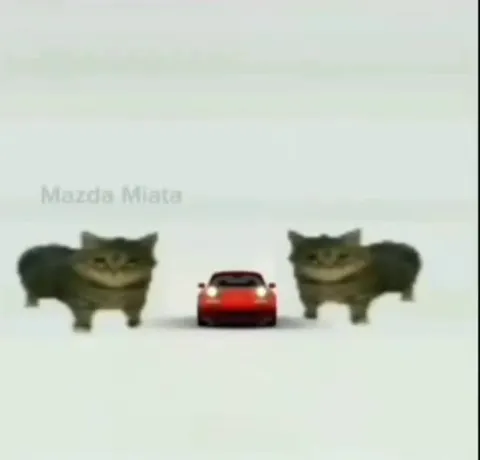 Кошки и Mazda Miata взрываются