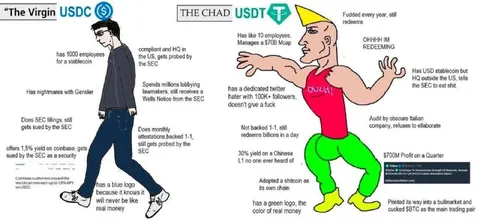 Virgin USDC vs Chad USDT