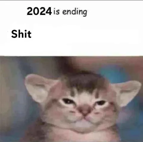 2024 Is Ending Shit Cat
