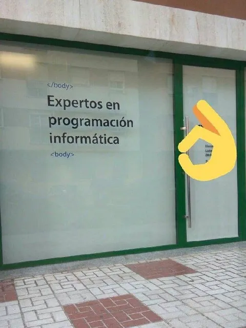 Expertos en programación informática