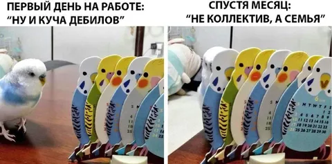 Первый день на работе и спустя месяц
