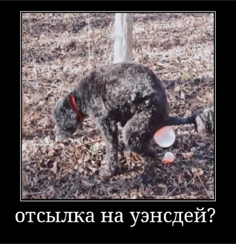 Отсылка на Уэнсдей