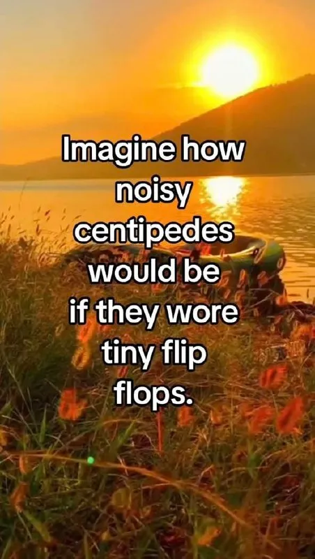 Noisy Centipedes in Flip Flops