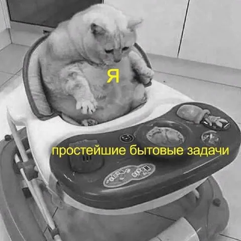 Кот и простейшие бытовые задачи