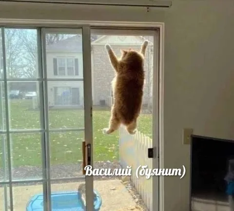 Василий снова буянит