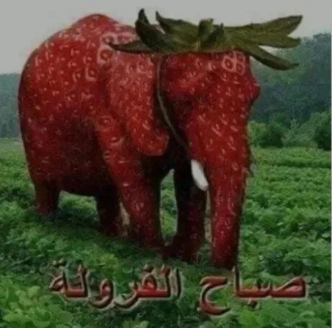 فراولة على شكل فيل