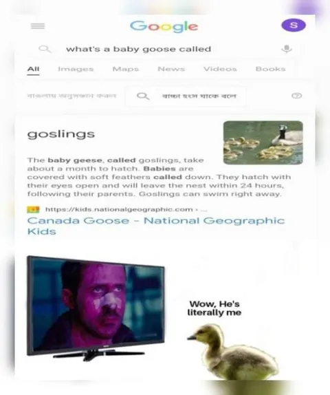 Baby Goose Literally Me