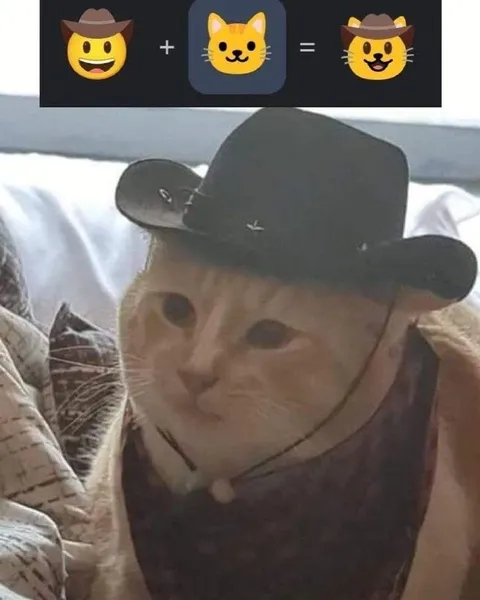Кот в ковбойской шляпе