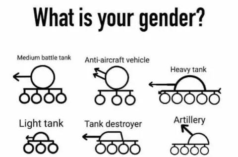 What Is Your Gender Tank Meme