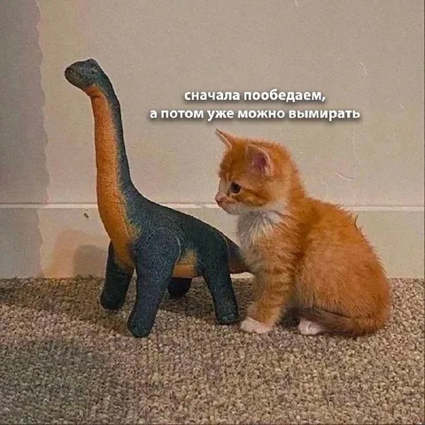 Сначала пообедаем, потом вымрем