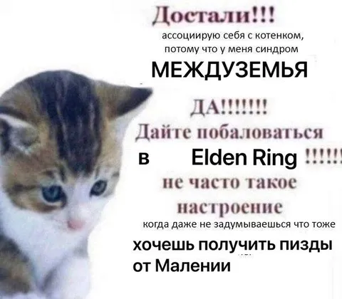 Синдром Междуземья и котёнок