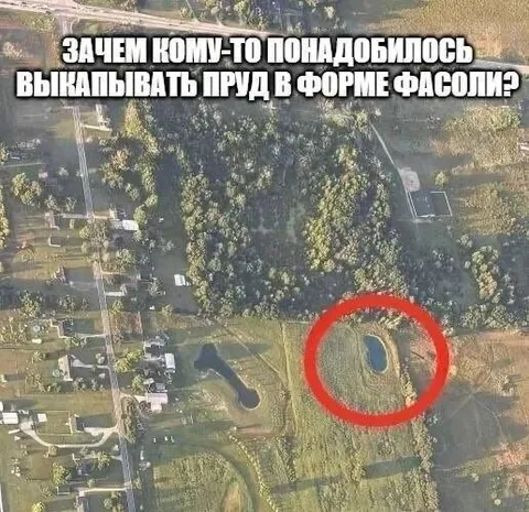 Пруд в форме фасоли