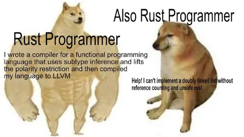 Rust Programmer vs Also Rust Programmer