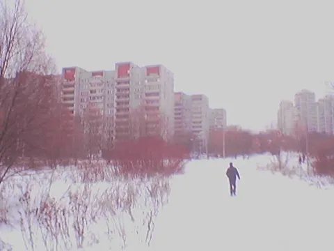Одинокая прогулка по снегу