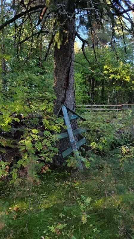 Заброшенный крест в лесу