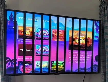 TV Behind Prison Bars