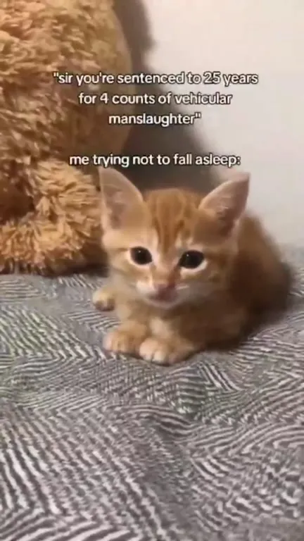 Trying Not to Fall Asleep