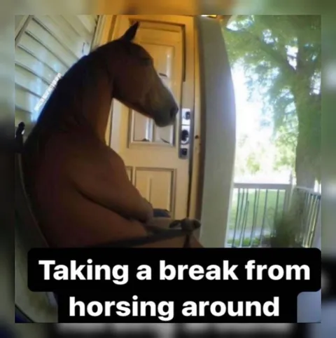 Horse Taking a Break