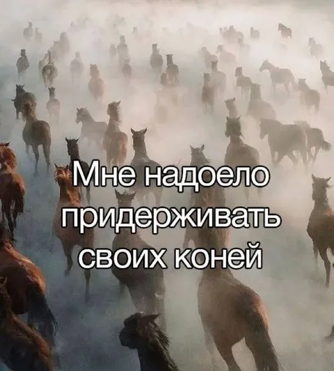 Мне надоело придерживать коней