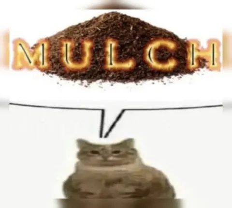 Mulch Cat