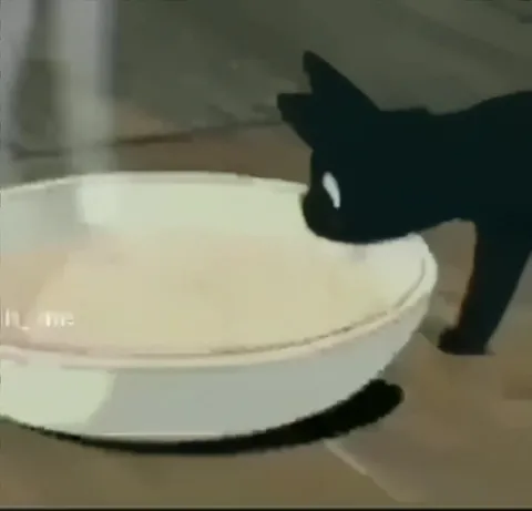 Кот уносит ужин