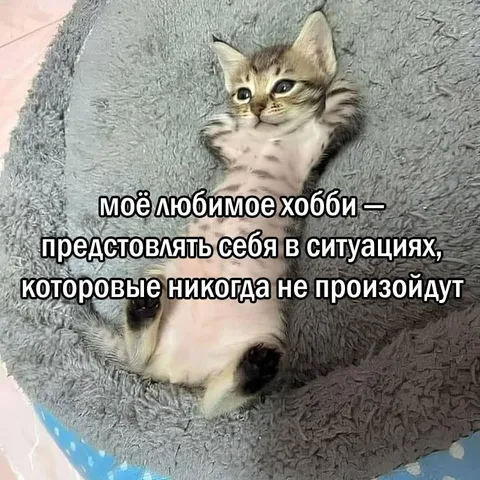 Представлять несуществующие ситуации