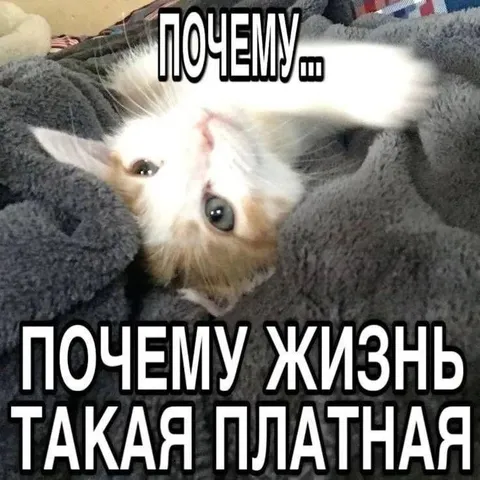 Почему жизнь такая платная