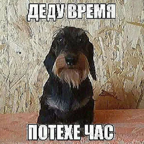 Деду время, потехчас