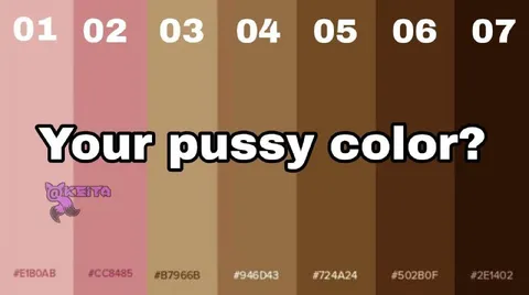 Your Pussy Color Chart