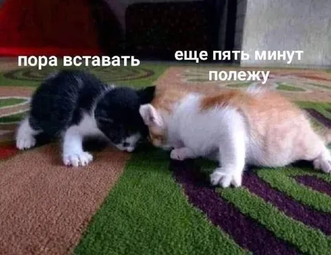 Ещё пять минут полежу