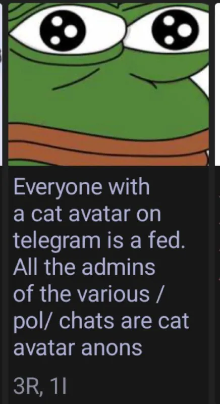 Cat Avatars Are Feds
