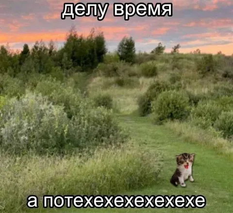 Кот делит время