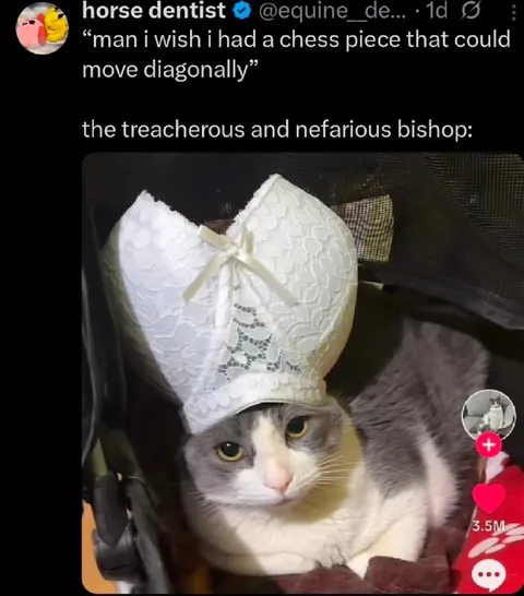 Treacherous Bishop Cat