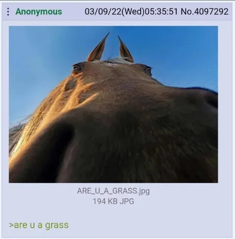 Are You a Grass Horse