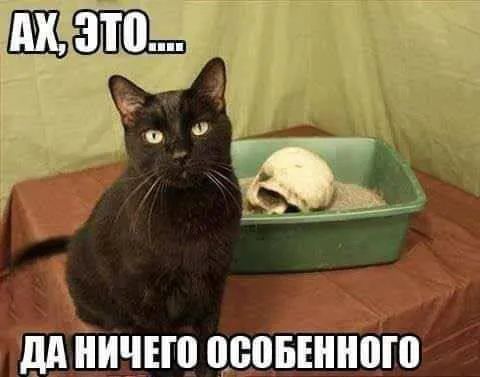 Да ничего особенного