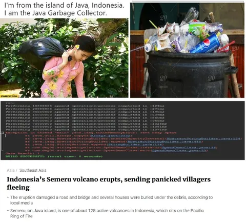 Java Garbage Collector Cleans Everything
