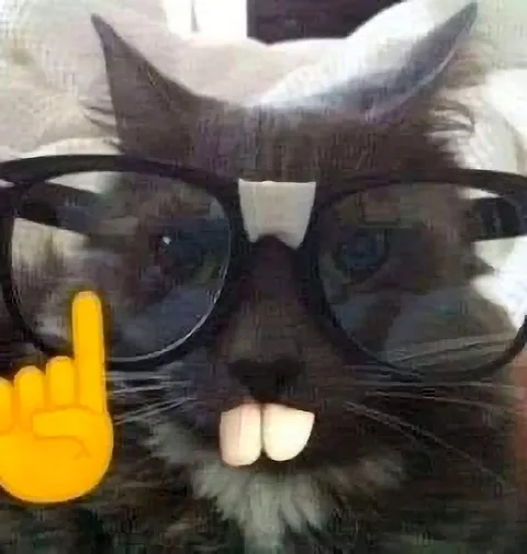 Кот в очках показывает фак