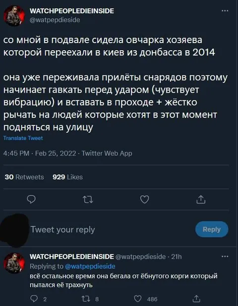 Овчарка лает перед обстрелом