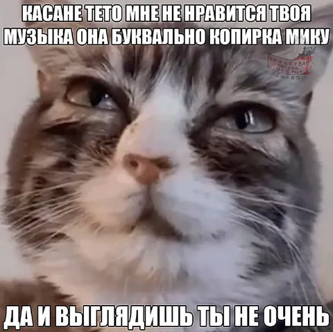 Касане Тето критикует Мику