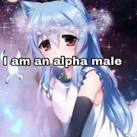 I am an alpha male anime girl