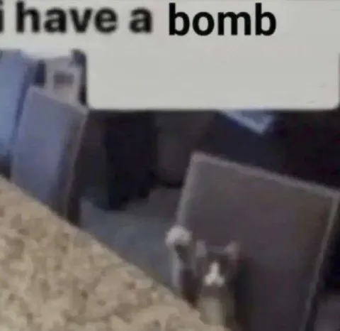 I Have a Bomb Cat